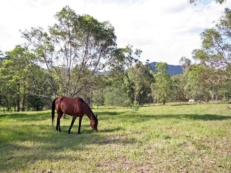 Wights Mountain QLD 4520