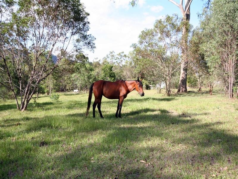 Wights Mountain QLD 4520