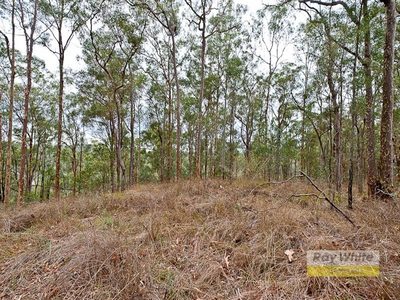 Camp Mountain QLD 4520