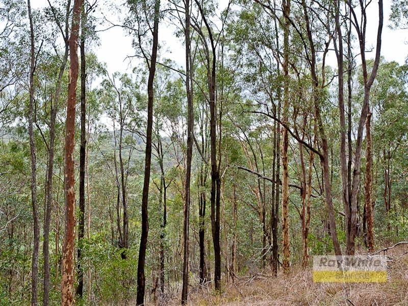 Camp Mountain QLD 4520