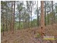 Camp Mountain QLD 4520