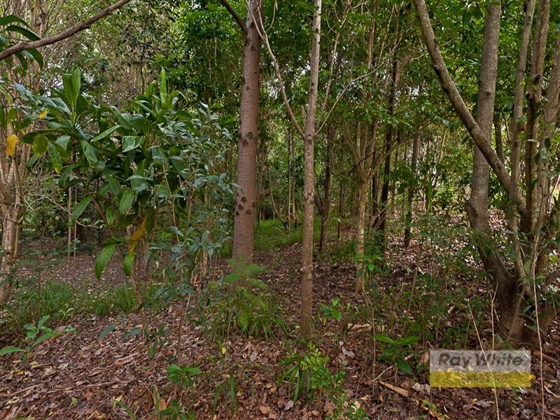 28 Honeywood Court, Samford Valley QLD 4520