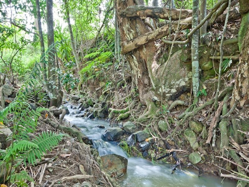Lot 3, 602 Cedar Creek Road, Cedar Creek QLD 4520