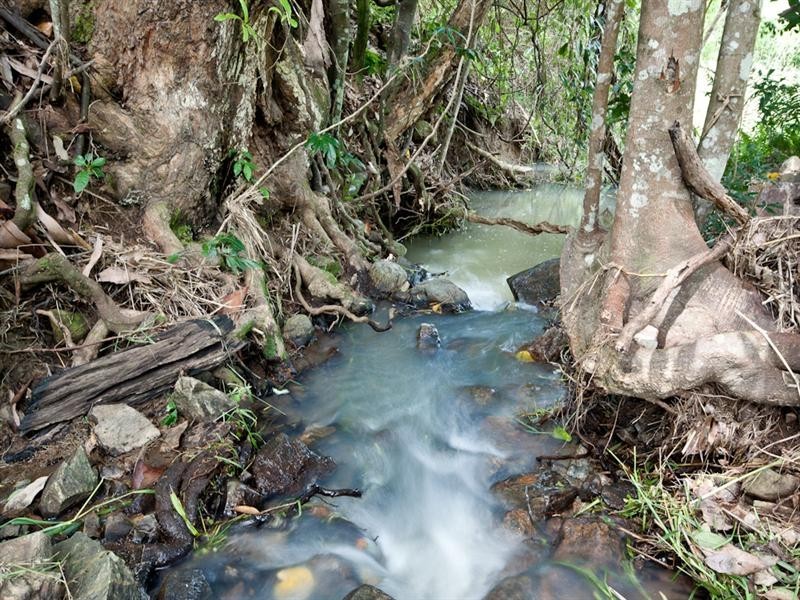 Lot 3, 602 Cedar Creek Road, Cedar Creek QLD 4520