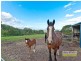 Cedar Creek QLD 4520