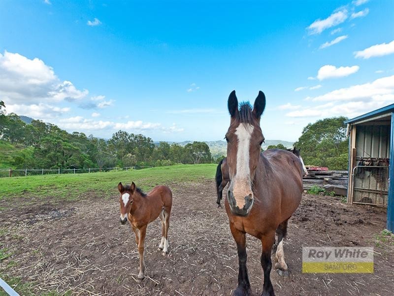 Cedar Creek QLD 4520