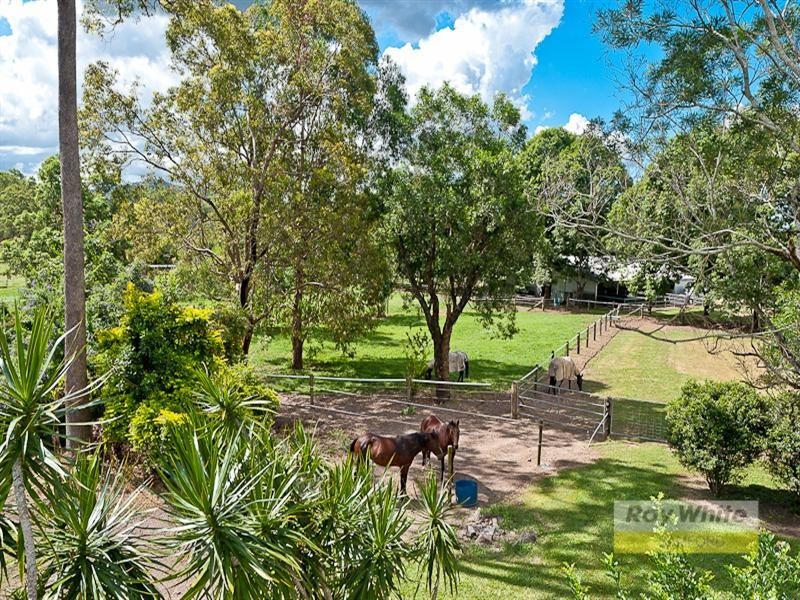 168 Betts Road, Camp Mountain QLD 4520