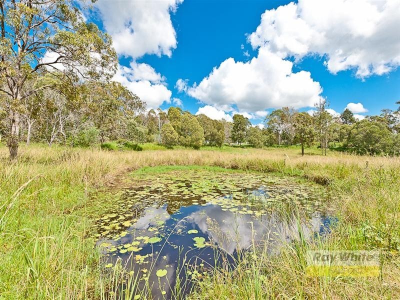 Camp Mountain QLD 4520
