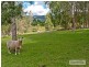 Samford Valley QLD 4520