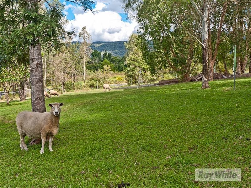 Samford Valley QLD 4520