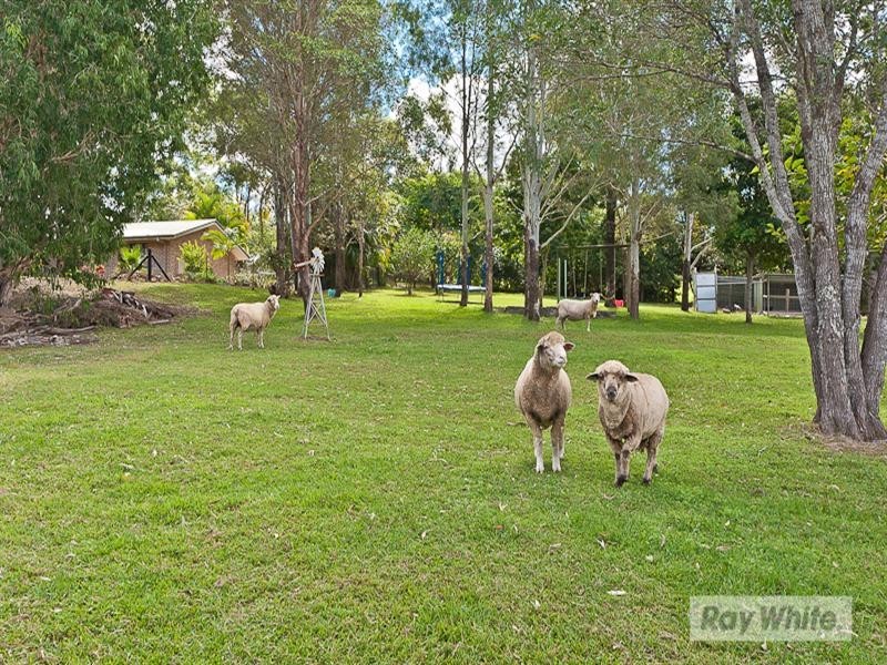 Samford Valley QLD 4520