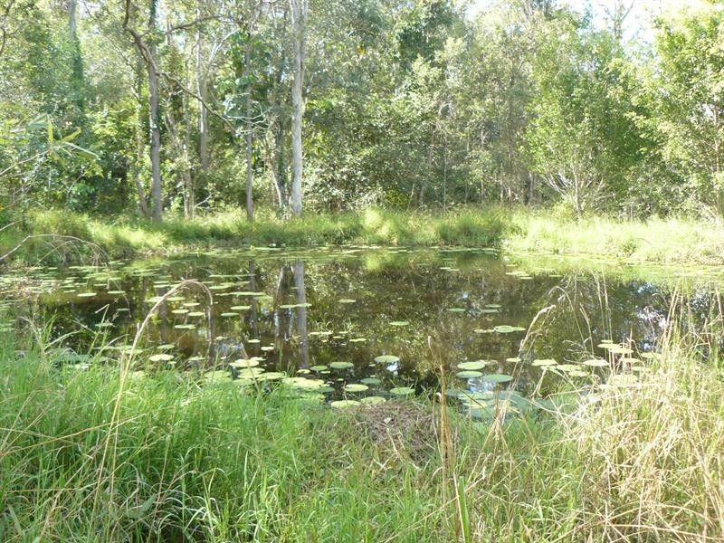 Wights Mountain QLD 4520