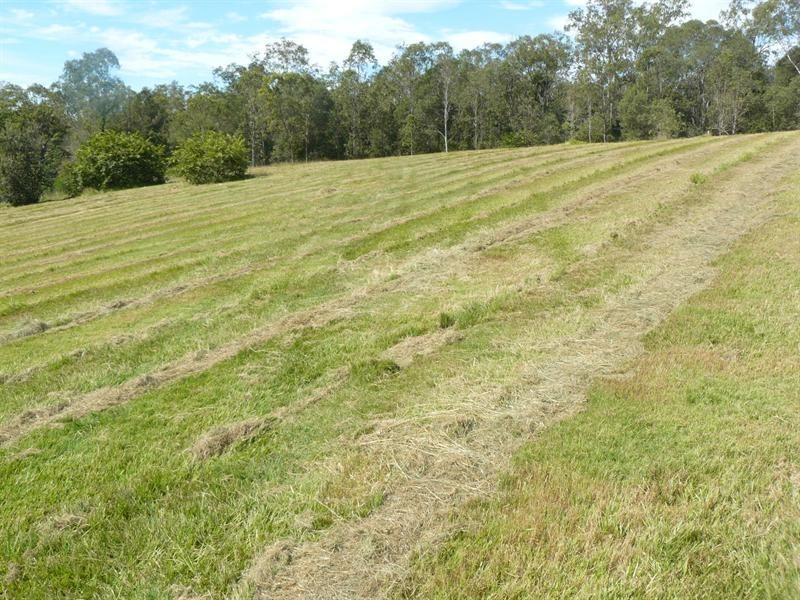 Wights Mountain QLD 4520