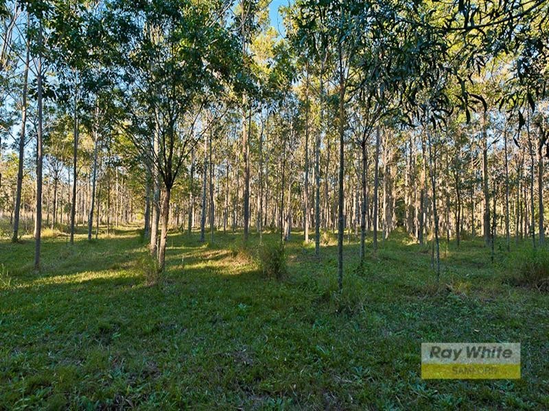 24 McCombe Road, Camp Mountain QLD 4520