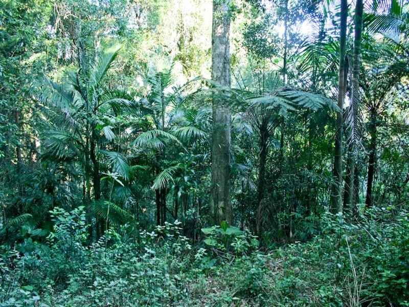 Mount Glorious QLD 4520