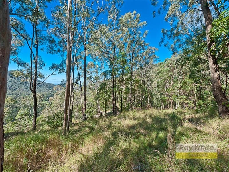 Cedar Creek QLD 4520