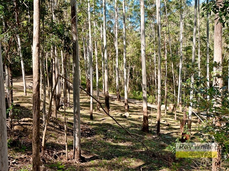 Cedar Creek QLD 4520