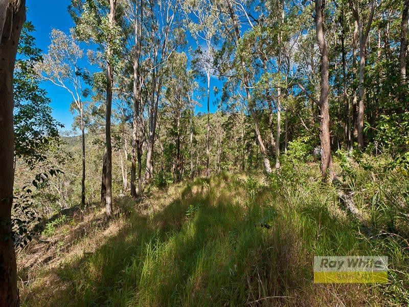 Cedar Creek QLD 4520