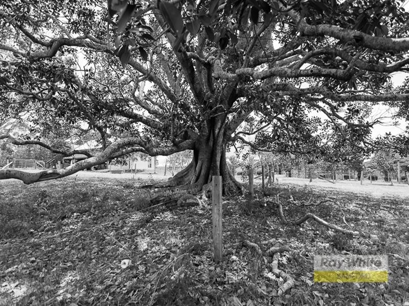 3 Les Douglas Court, Camp Mountain QLD 4520