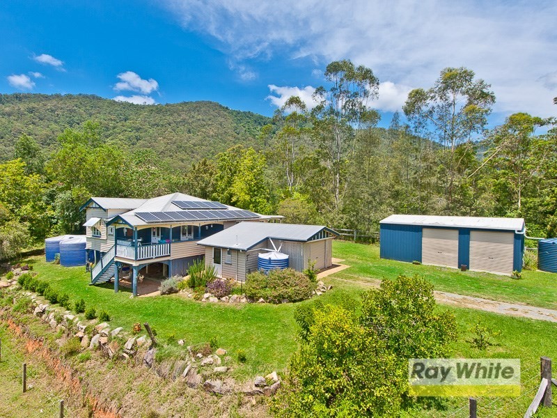 20 Masseys Creek Court, Cedar Creek QLD 4520