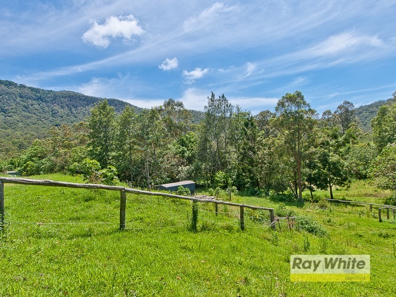 20 Masseys Creek Court, Cedar Creek QLD 4520