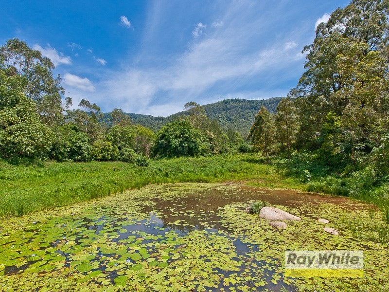 20 Masseys Creek Court, Cedar Creek QLD 4520