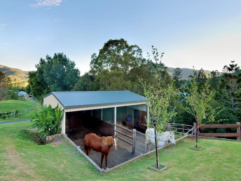 11 Lacebark Court, Cedar Creek QLD 4520