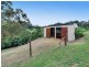 11 Lacebark Court, Cedar Creek QLD 4520