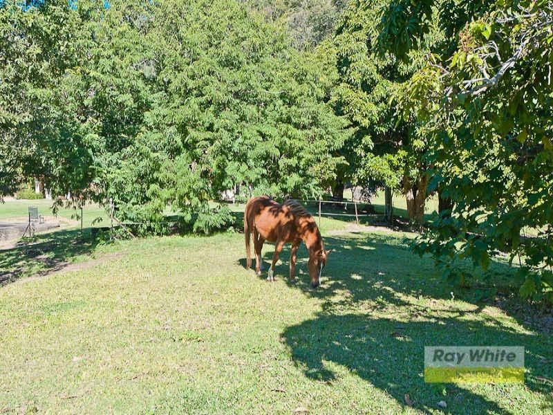 147 Betts Road, Camp Mountain QLD 4520