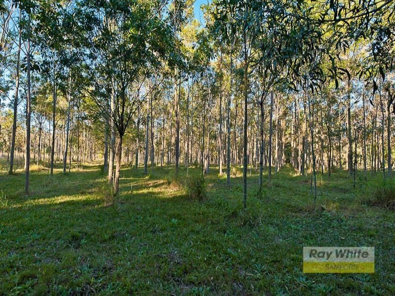 24 McCombe Road, Camp Mountain QLD 4520