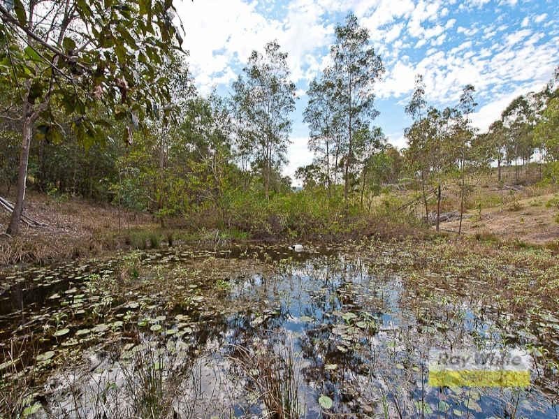 1 Cnr Lot Corner Ian Road and Cedar Creek Road, Cedar Creek QLD 4520