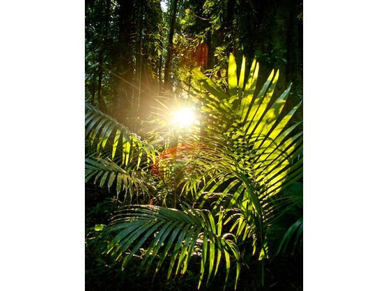 Mount Glorious QLD 4520