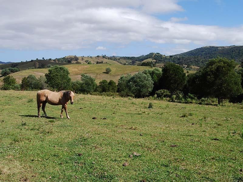 Dayboro QLD 4521