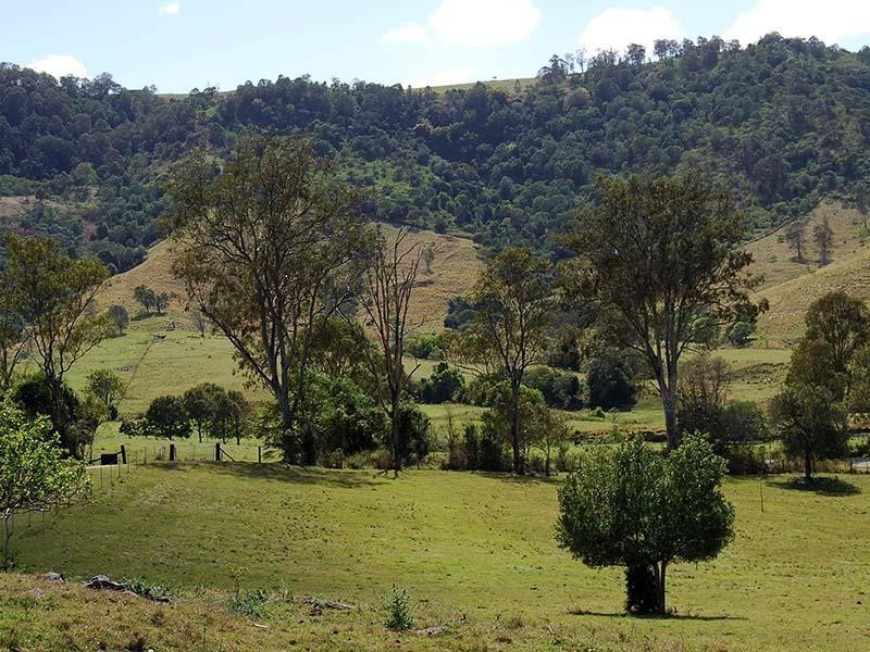 Dayboro QLD 4521