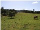 Dayboro QLD 4521