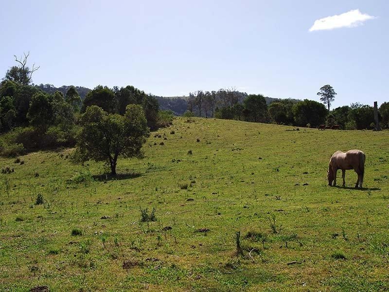 Dayboro QLD 4521