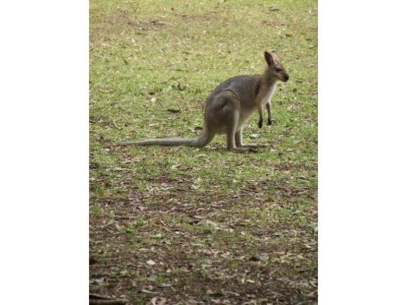 4/Lot 994 Mt Samson Road, Samsonvale QLD 4520