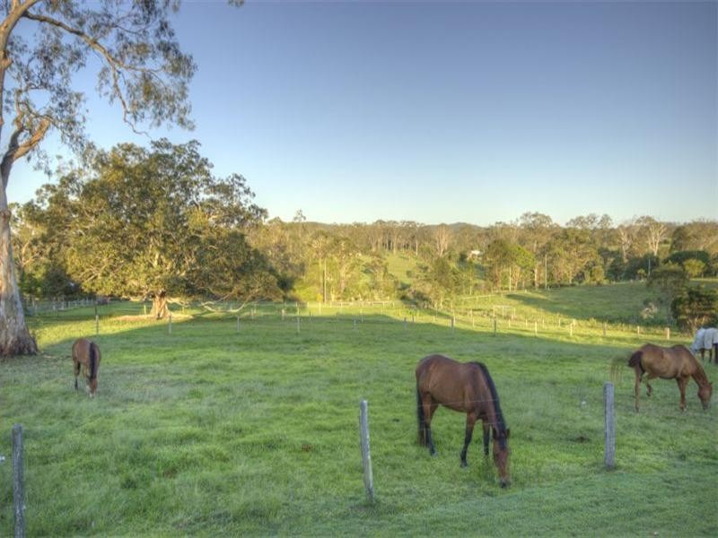 3 Les Douglas Court, Camp Mountain QLD 4520