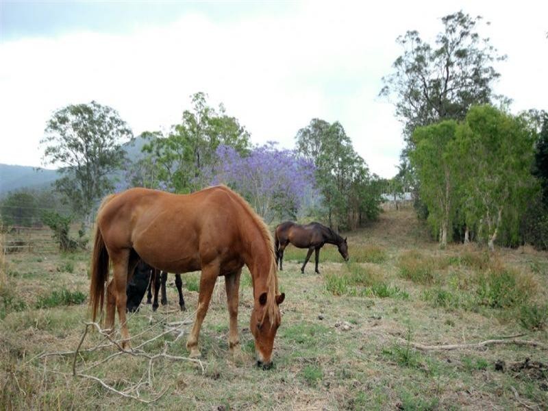 Samford Valley QLD 4520