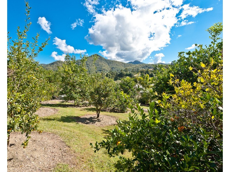 Cedar Creek QLD 4520