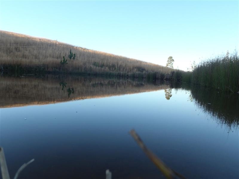 128 Hipathites Road, Kobble Creek QLD 4520