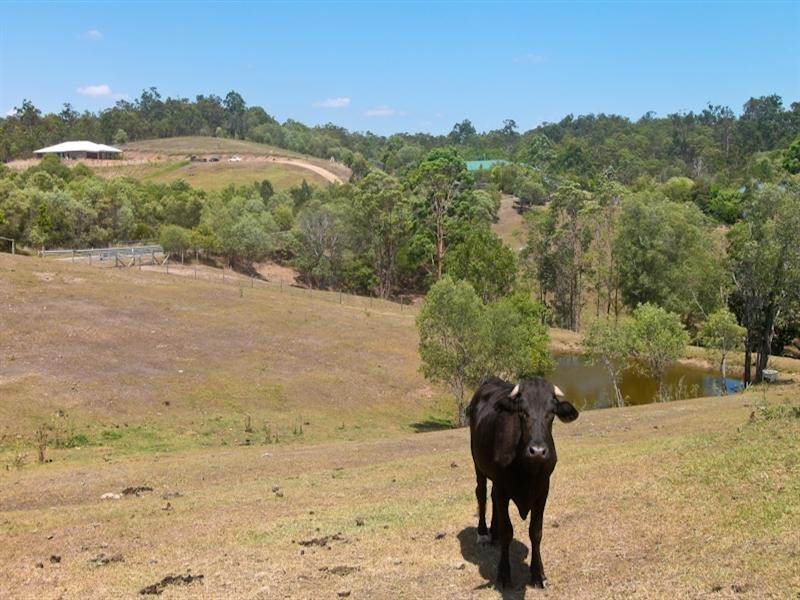 4 Brownlow Court, Cashmere QLD 4500