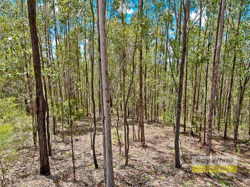 Lot 20 Alison Booker Court, Kobble Creek QLD 4520
