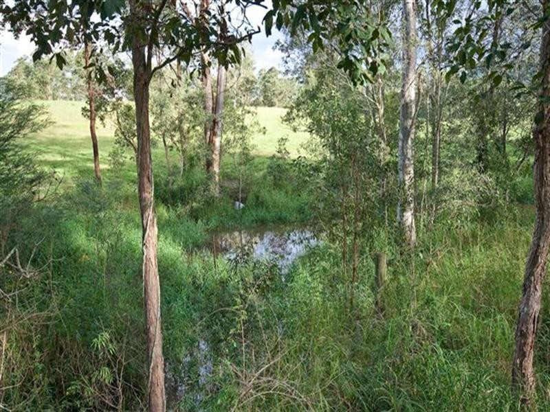 Camp Mountain QLD 4520