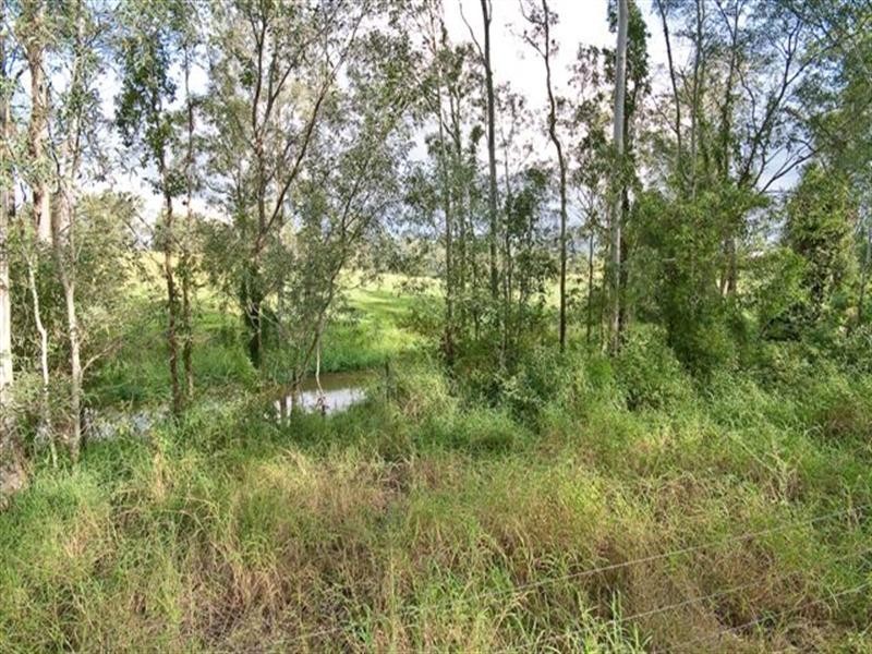 Camp Mountain QLD 4520