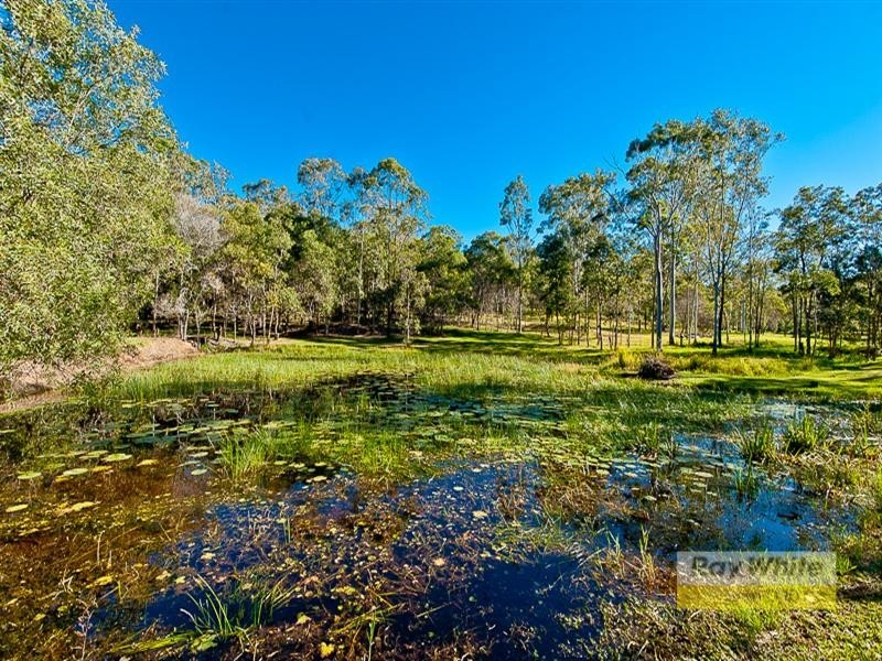 3 Delonix Place, Wights Mountain QLD 4520