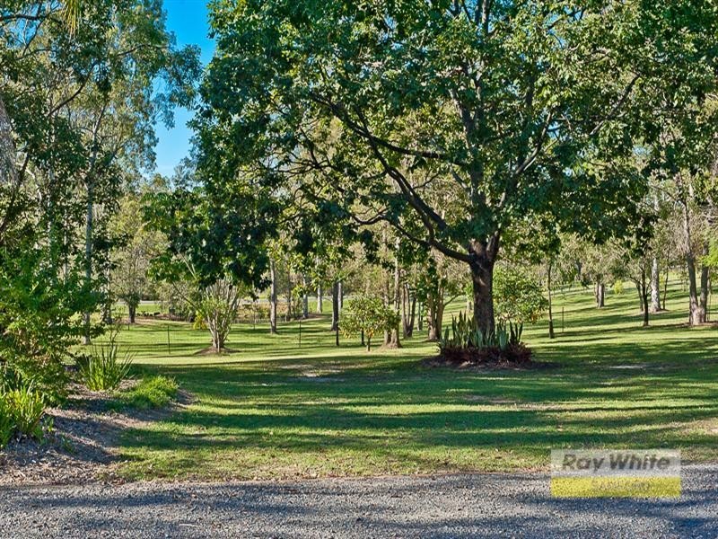 3 Delonix Place, Wights Mountain QLD 4520