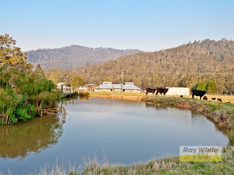 3 Rose Lane, Laceys Creek QLD 4521