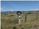 Lot 21 Candelo Wolumla Road, Candelo NSW 2550