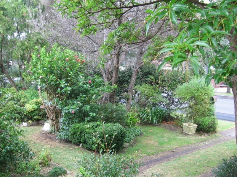 54 Walmer Avenue, Sanctuary Point NSW 2540